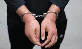 انکار قتل مسافری از آلمان؛ اعتراف به قتل برادرم دروغ بود