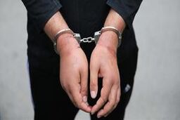 سرقت کلکسیون ۳۰ میلیاردی اسلحه 