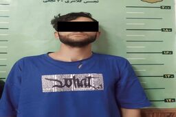 دستگیری سارق باتری خودرو در چیتگر؛ اعتراف به ۲۷ فقره سرقت