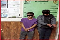 شلیک ۱۴ تیر برای کشف ۱۱۰ سرقت
