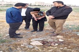 کیفرخواست علیه قاتل شیطان صفت به جرم قتل دانش آموز ۱۱ ساله