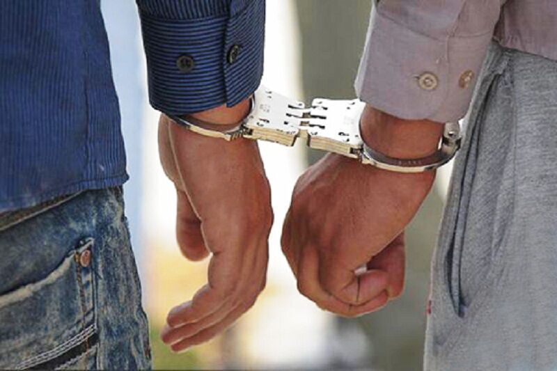 آشنای خیانتکار، کلکسیونر ۷۰ ساله را بیهوش کرد و سکه‌های قدیمی‌اش را دزدید